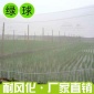 廠家臺(tái)州綠球長期供應(yīng)溫室大棚**防蟲網(wǎng)綠球遮陽網(wǎng)廠批發(fā)