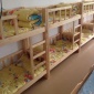 廠價幼兒園床批發(fā)-幼兒園小床-實(shí)木上下床