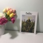 lula復(fù)古感擺拍大卡片拍照道具背景紙時尚雜志封面攝影卡片