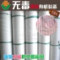 供應(yīng)楊梅防蟲**羅幔蚊帳 防蟲網(wǎng)