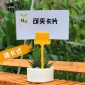 廠家 花卉T型插地園藝標(biāo)簽，插卡式園藝標(biāo)簽 美觀大方顏色全