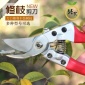 樹枝剪園林剪園藝剪修枝剪果枝剪果樹剪刀花剪刀剪樹枝剪刀