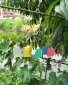 **張塑料吊牌 農(nóng)業(yè)標(biāo)簽吊牌 園藝花卉標(biāo)簽 吊牌 植物育苗標(biāo)簽